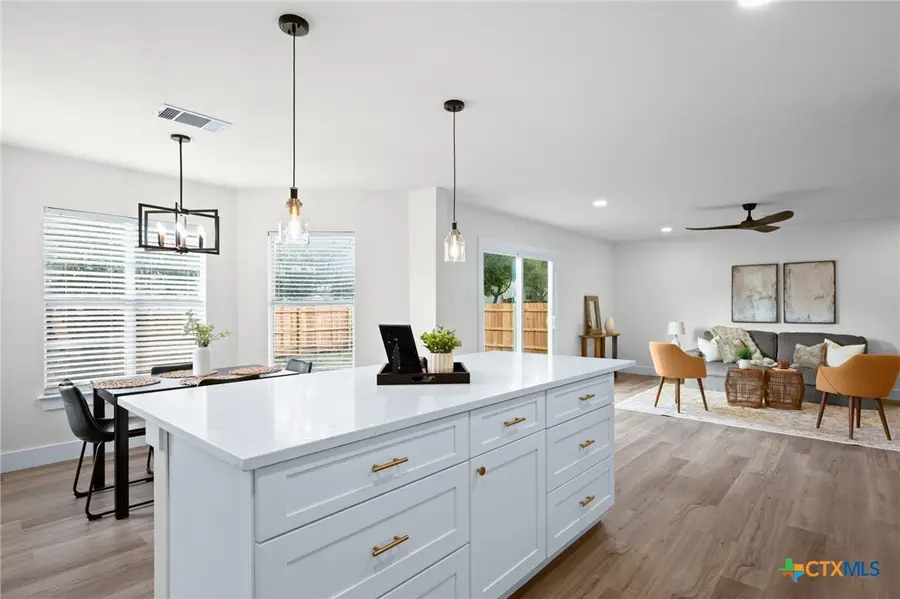 17901 Narsitin Lane, Pflugerville, TX 78660 - Image #3