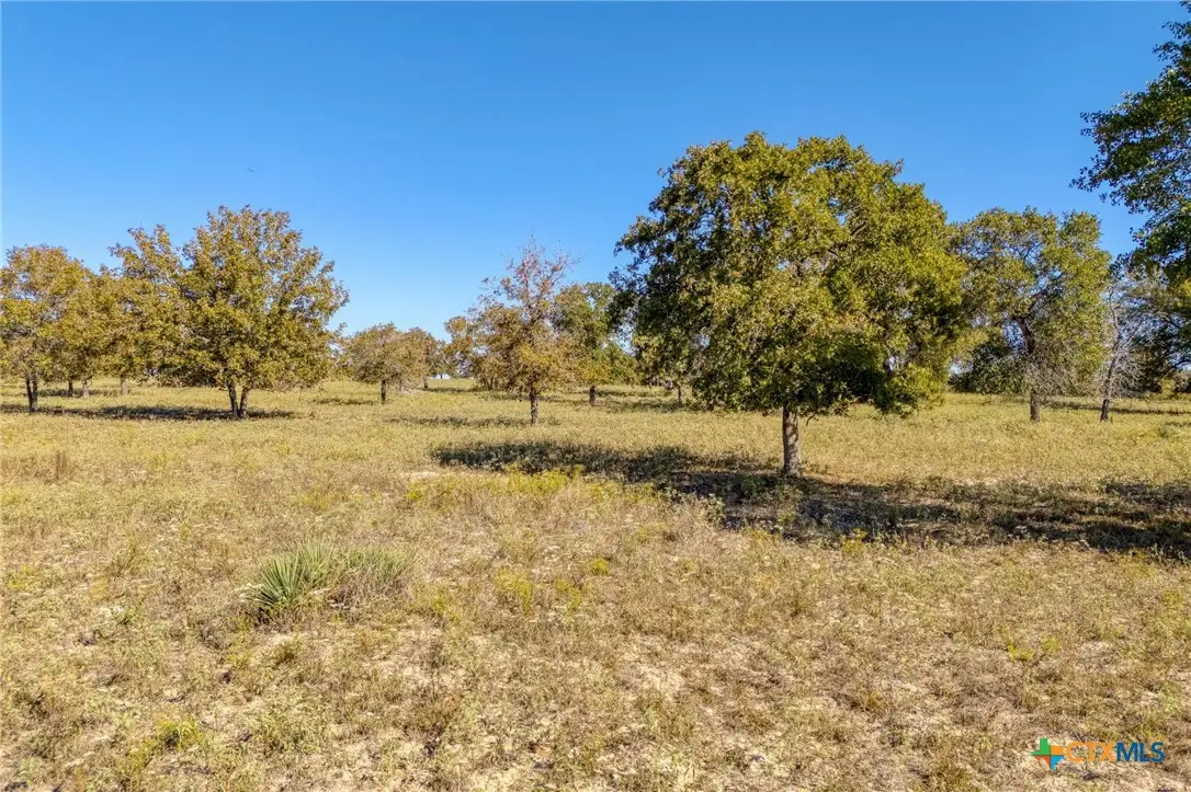 TBD Flash Circle, Luling, TX 78648 - Image #1