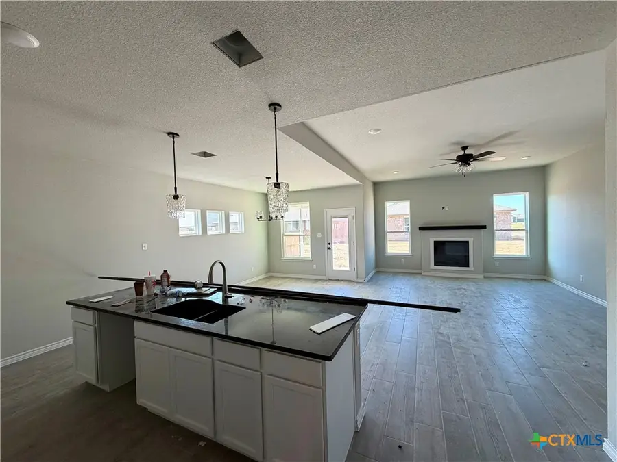 2550 Settlers Oak Drive, Belton, TX 76513 - Image #3