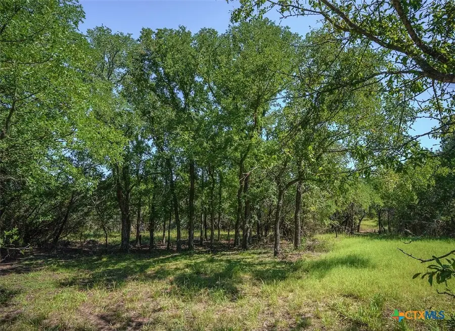 TBD Fm 2412, Gatesville, TX 76528 - Image #3