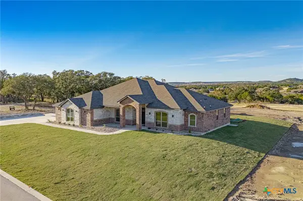 4249 Cold Springs Road, Kempner, TX 76539