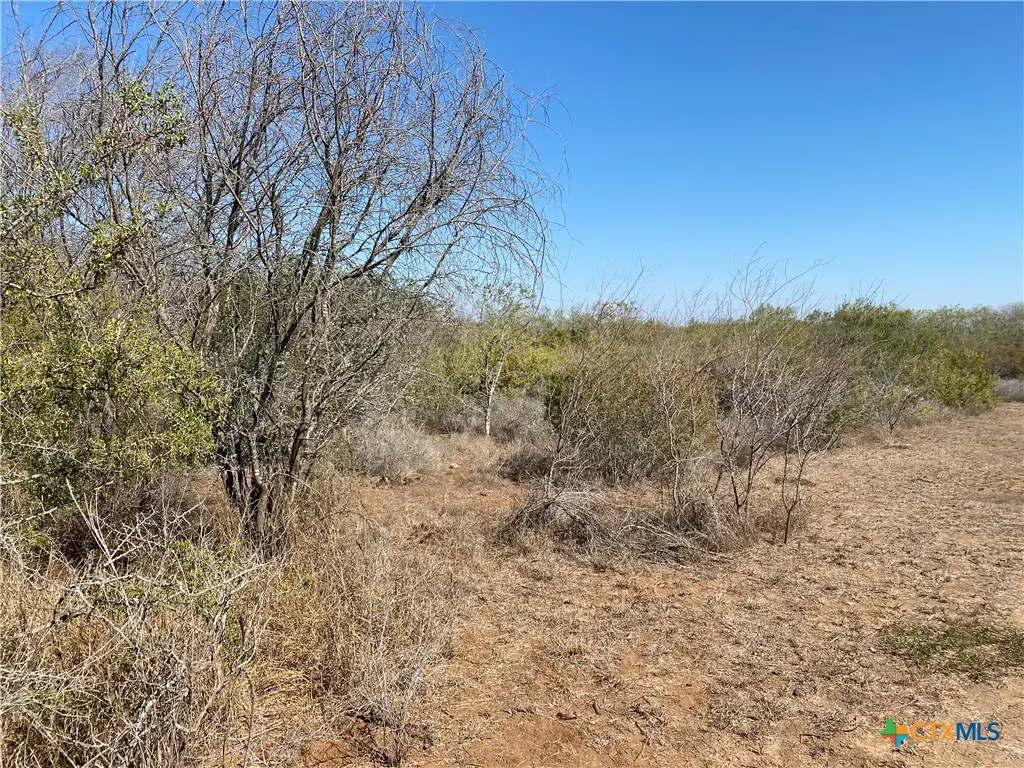 00 Cr 3081, Orange Grove Sandia, TX 78372 - Image #1