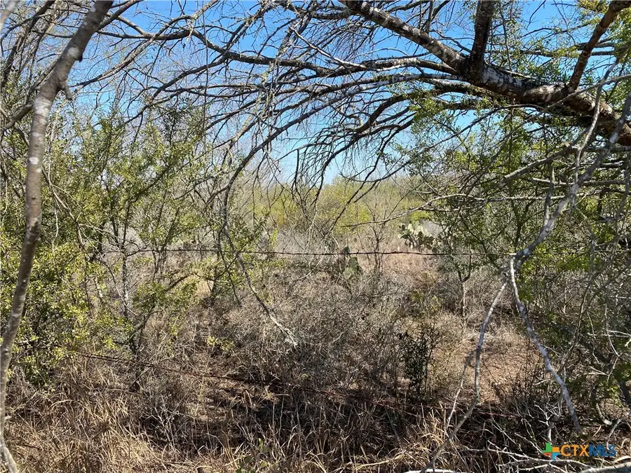 00 Cr 3081, Orange Grove Sandia, TX 78372 - Image #2