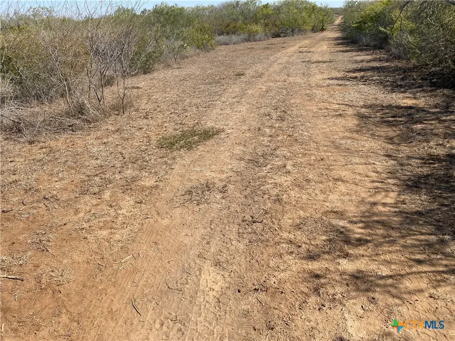 00 Cr 3081, Orange Grove Sandia, TX 78372 - Image #3