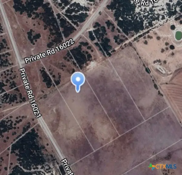 TBD Pr 16022, Jonesboro, TX 76538