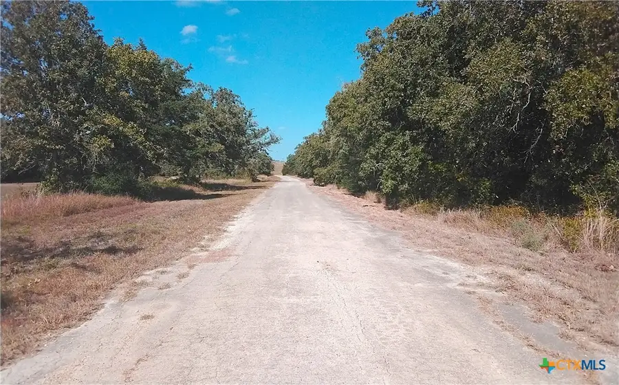 2565 Five Mile & Hwy 95 Road, Flatonia, TX 78941 - Image #3