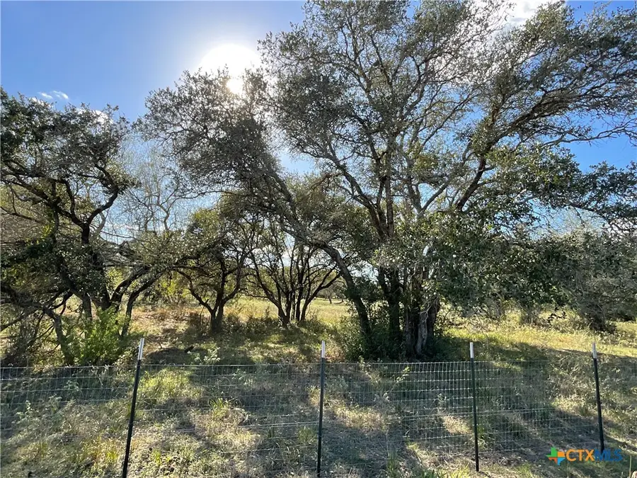 389 Hausmann Road, Cuero, TX 77954 - Image #2
