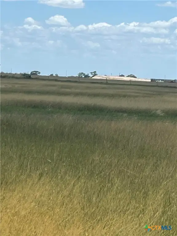 TBD Fm 673, Pawnee, TX 78145 - Image #3