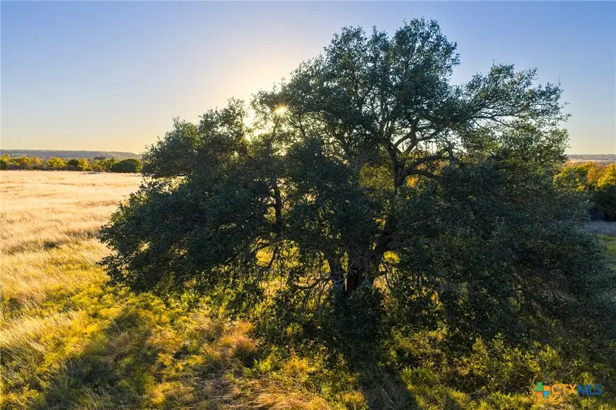 TBD County Road 511, Hamilton, TX 76531 - #2