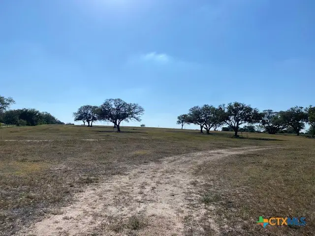 8438,8440 Hwy 183, Goliad, TX 77963 - Image #2