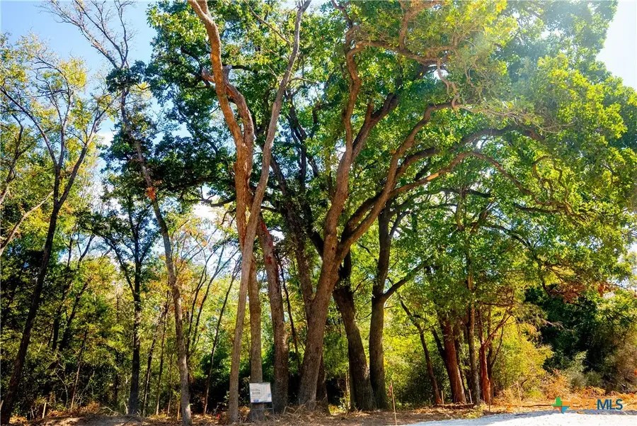 12338 Red Hill Rd, Hearne, TX 77859 - Image #2