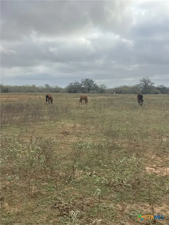 510 Johnson Farms, Harwood, TX 78632