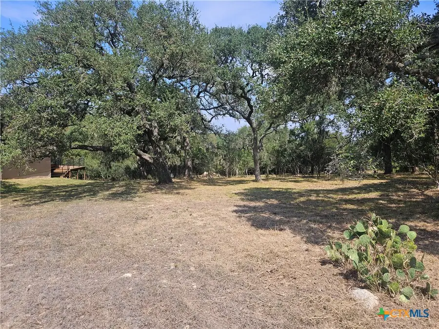 481 River Chase Way, New Braunfels, TX 78132 - Image #2