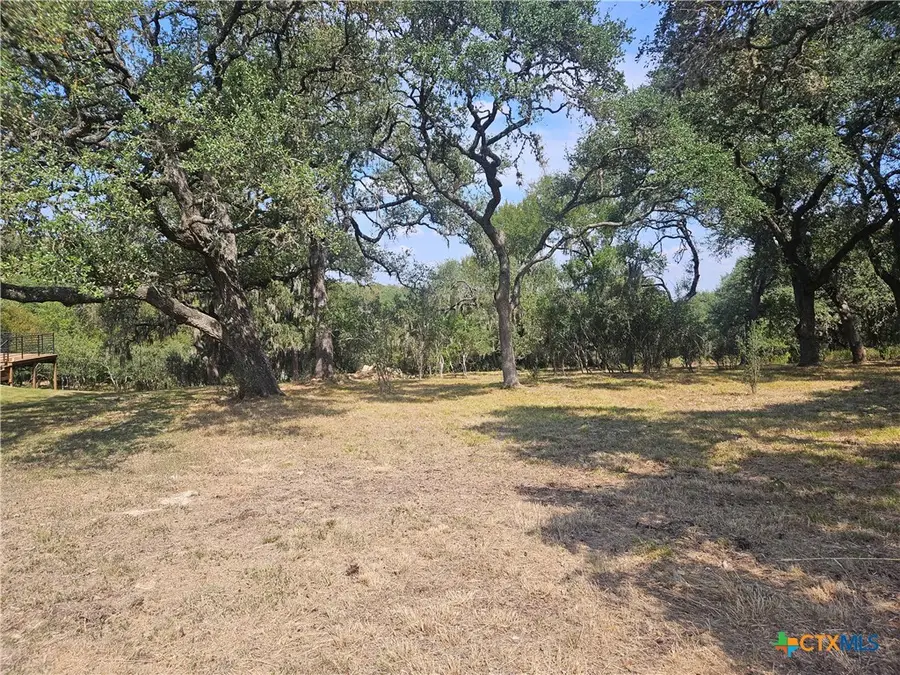481 River Chase Way, New Braunfels, TX 78132 - Image #3