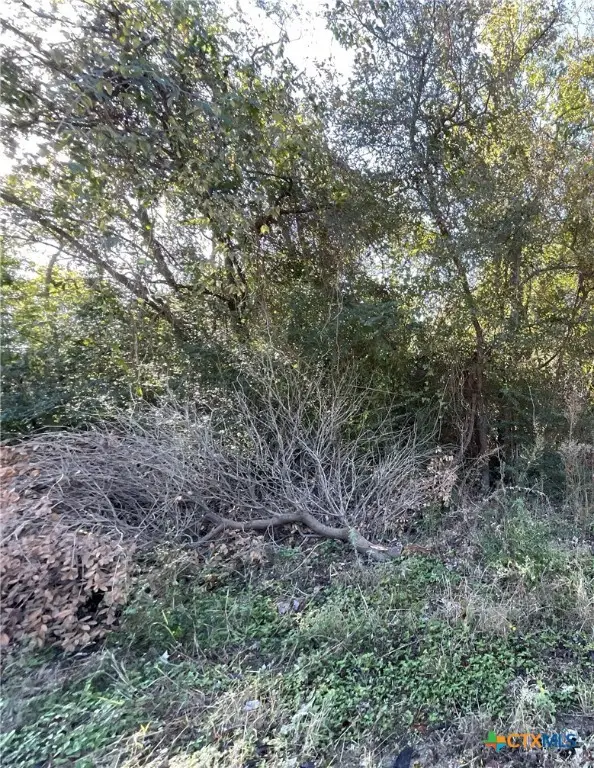 TBD Bowie & Newton, Cameron, TX 76520