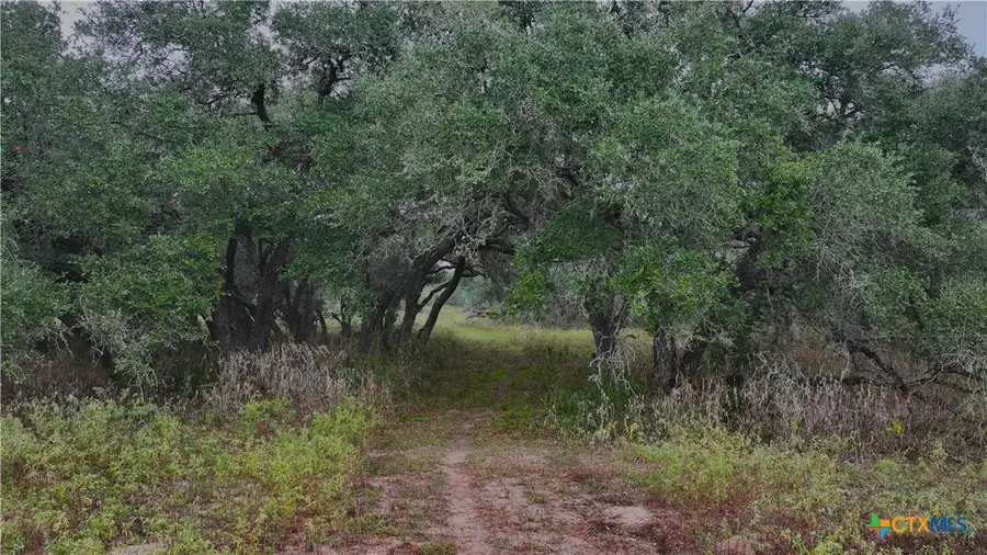 000 Coletoville Road, Victoria, TX 77905 - Image #3