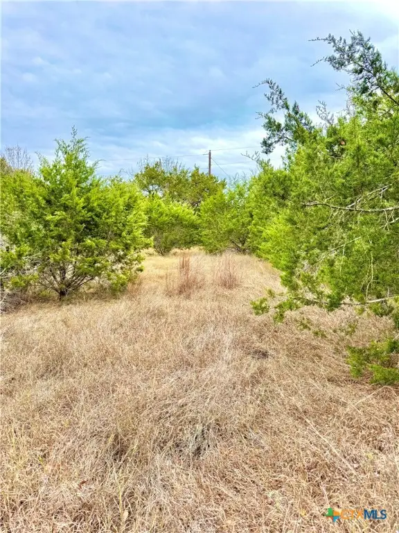 422 Eagle Lane, Fischer, TX 78606 - Image #2