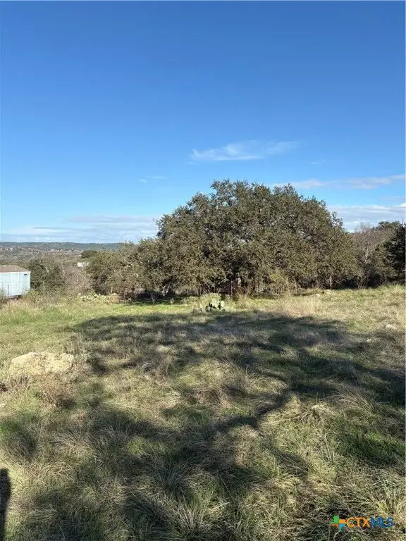 979 Deer Springs Drive, Burnet, TX 78611 - Image #2