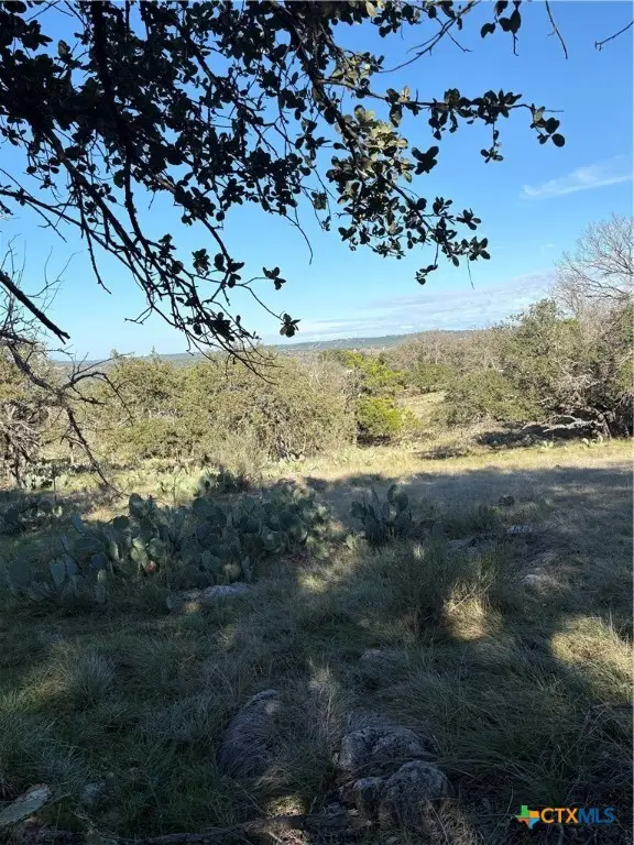 979 Deer Springs Drive, Burnet, TX 78611 - Image #3