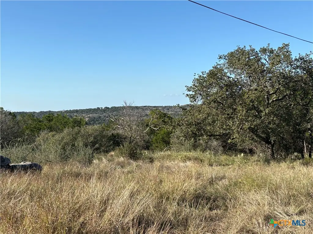 801 Deer Springs Drive, Burnet, TX 78611 - Image #1