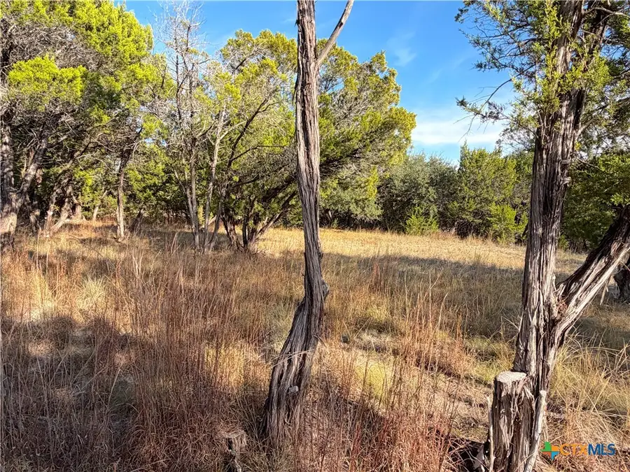 TBD Terra Vista Court, Canyon Lake, TX 78133 - Image #3