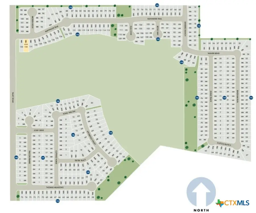 3019 Nash Drive, New Braunfels, TX 78132 - Image #3