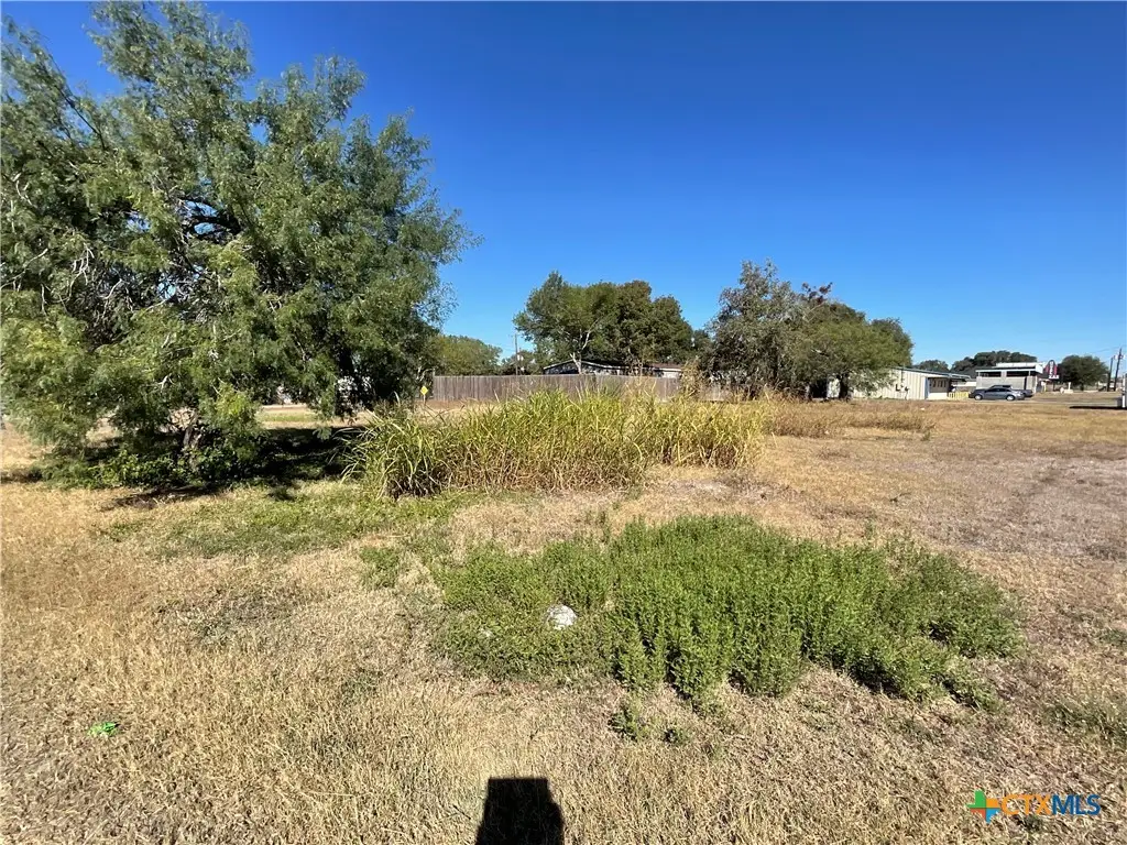 310 Stockdale Street, Cuero, TX 77954 - Image #1