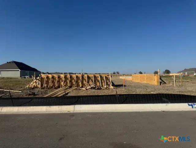 454 Pipe Creek Drive, Temple, TX 76502 - Image #1