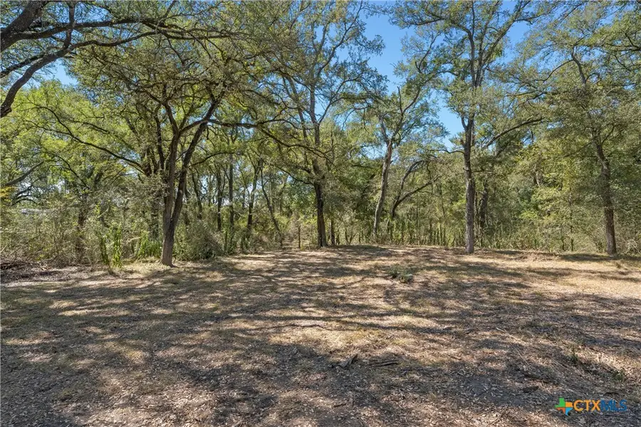 6.75 Cr 473, Lott, TX 76656 - Image #3