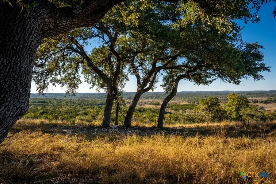911 Enchanted View, Canyon Lake, TX 78133 - Image #3