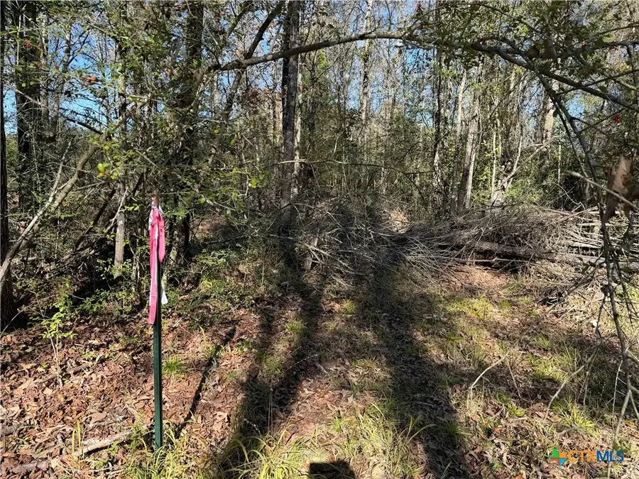 TBD County Road 301 Tract 7, Butler, TX 75855 - Image #3