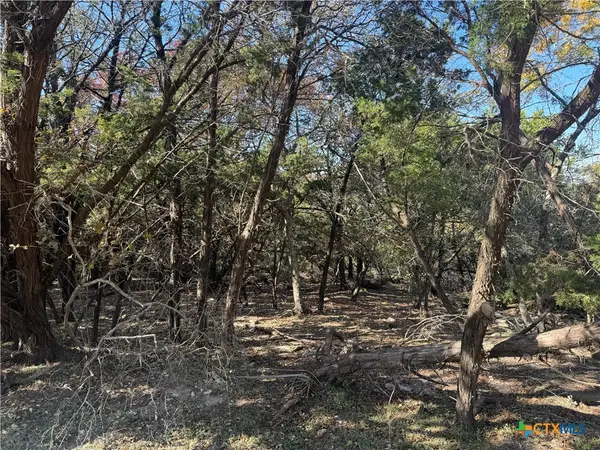 5982 Buggy Ride Road, Temple, TX 76502