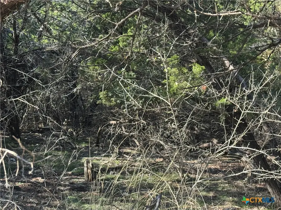 5982 Buggy Ride Road, Temple, TX 76502 - Image #3