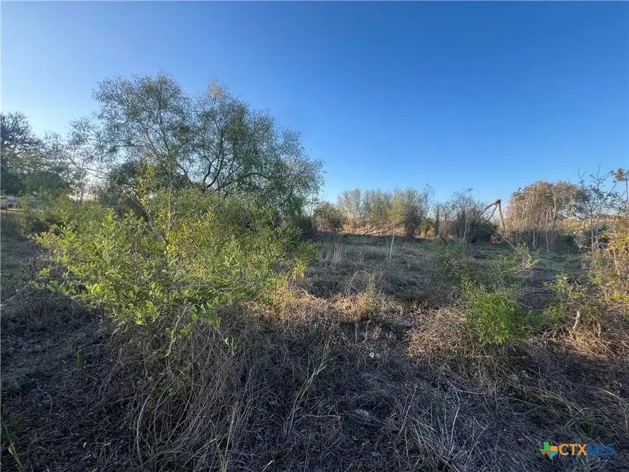 0 Laso Road, Goliad, TX 77963 - Image #2