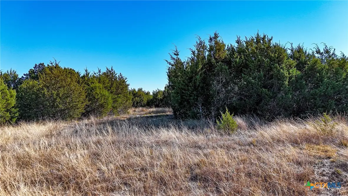 Lot 19 Homestead Drive, Lampasas, TX 76550 - Image #1