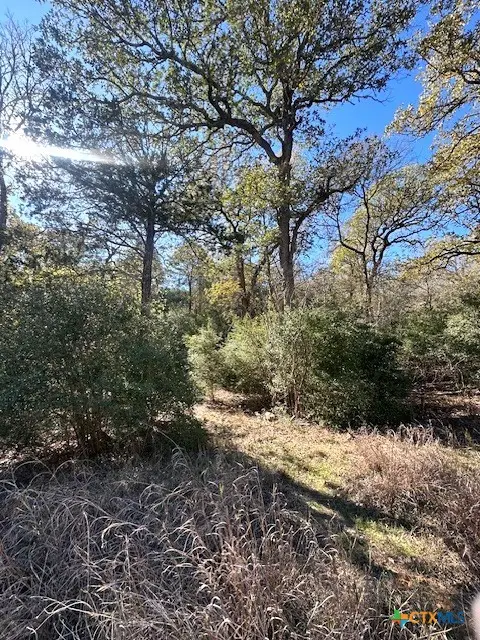 506 Tahitian Drive, Bastrop, TX 78602 - #2