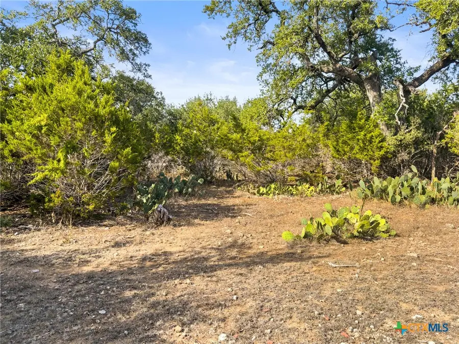 1426 Ledgebrook, Spring Branch, TX 78070 - Image #2