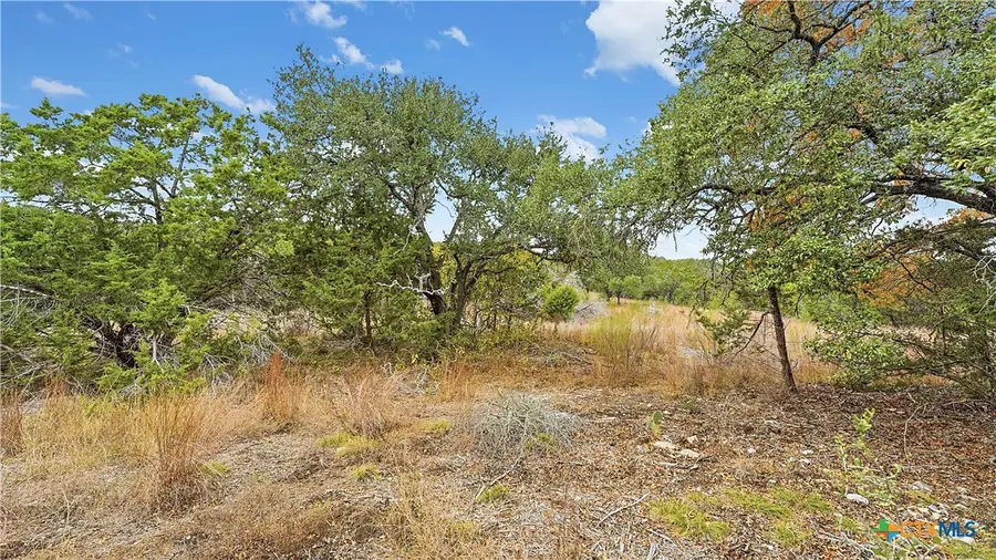 833 Bell Canyon Way, Bulverde, TX 78163 - Image #3