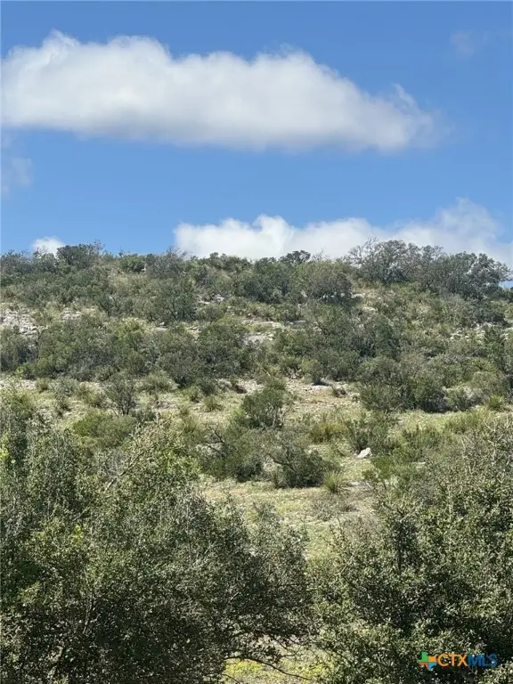 Lot 32 Private Road, Rocksprings, TX 78880 - Image #3