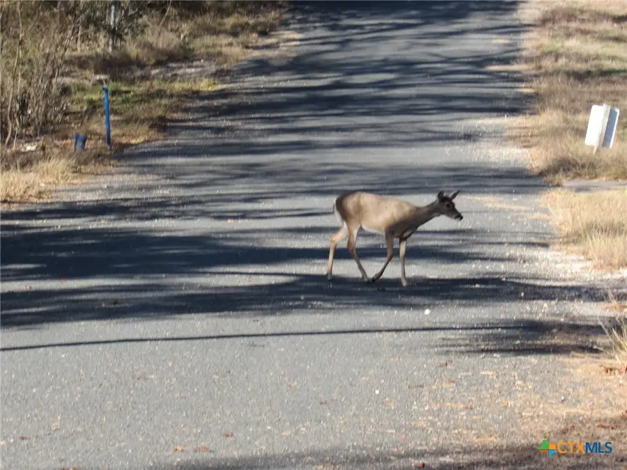 4240 Westview Drive, Belton, TX 76513 - Image #3