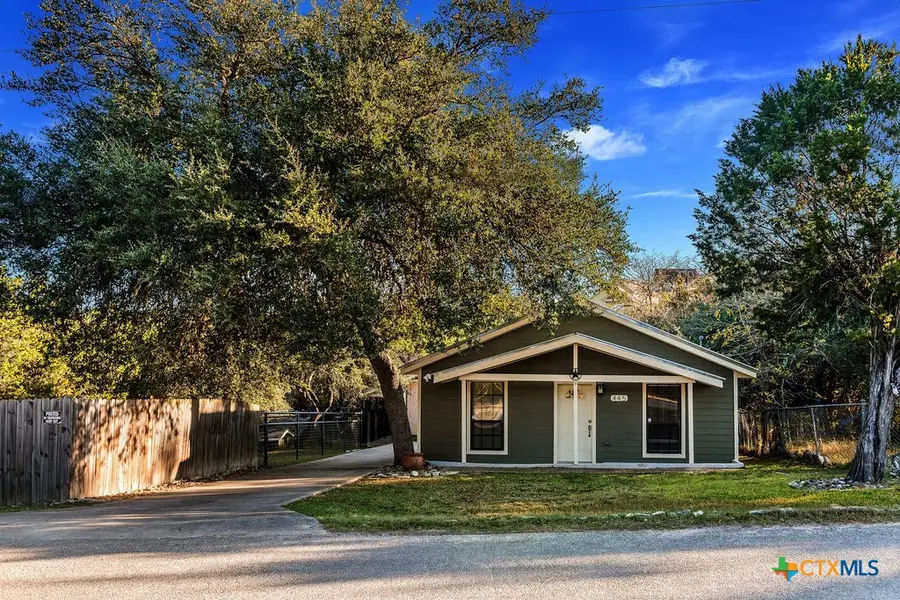 445 Scenic Hills Drive, Canyon Lake, TX 78133 - Image #3