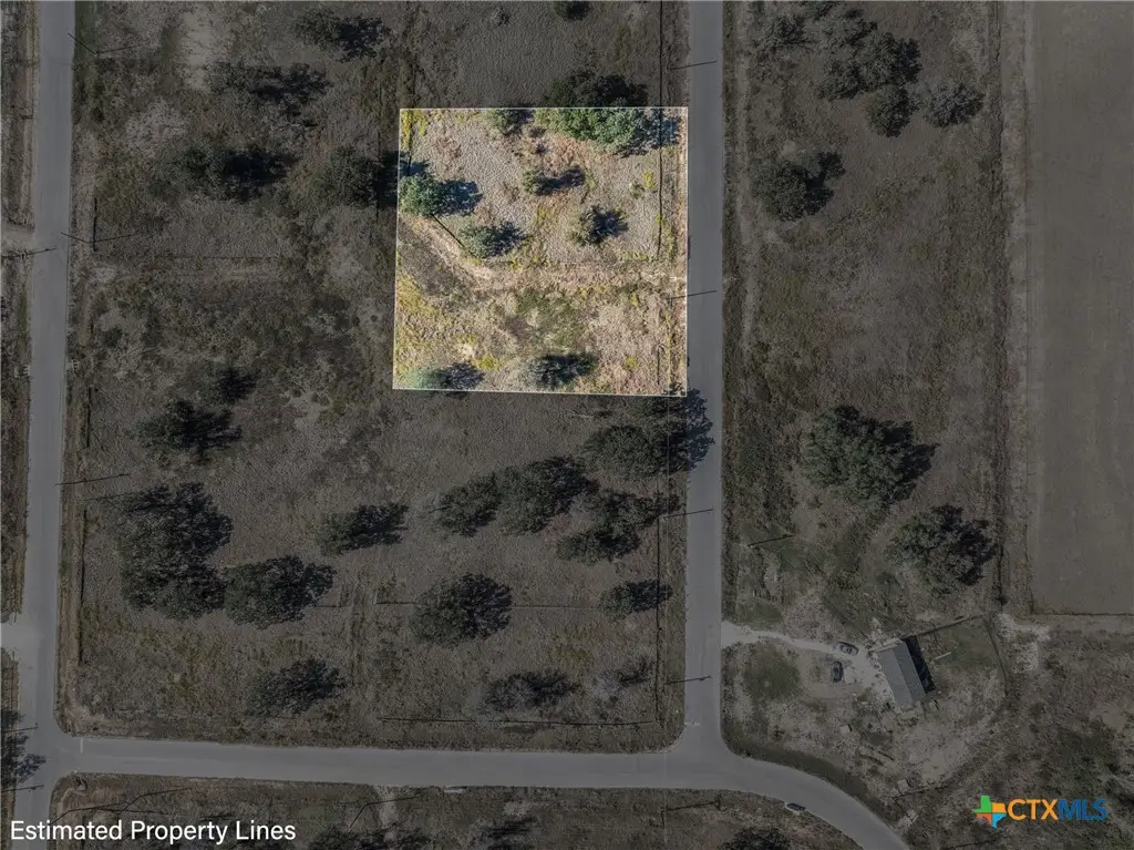 189 Ferguson Loop, Dale, TX 78616 - #1