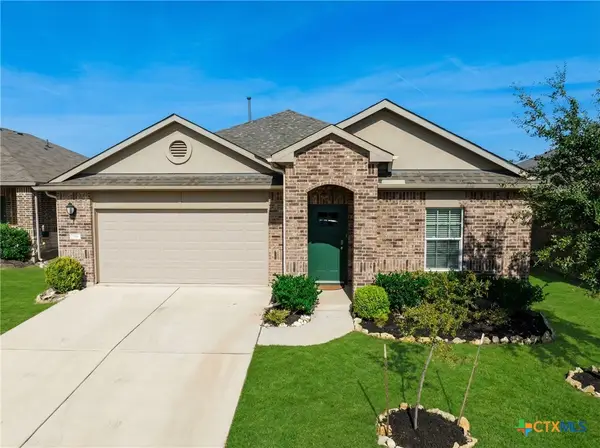356 Shiner Lane, Georgetown, TX 78626