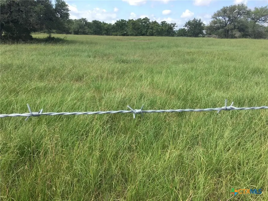 3100 Cattle Guard Road, Cuero, TX 77954 - #2