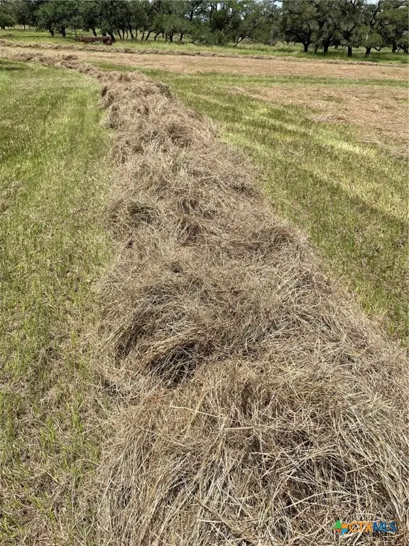 3100 Cattle Guard Road, Cuero, TX 77954 - #3