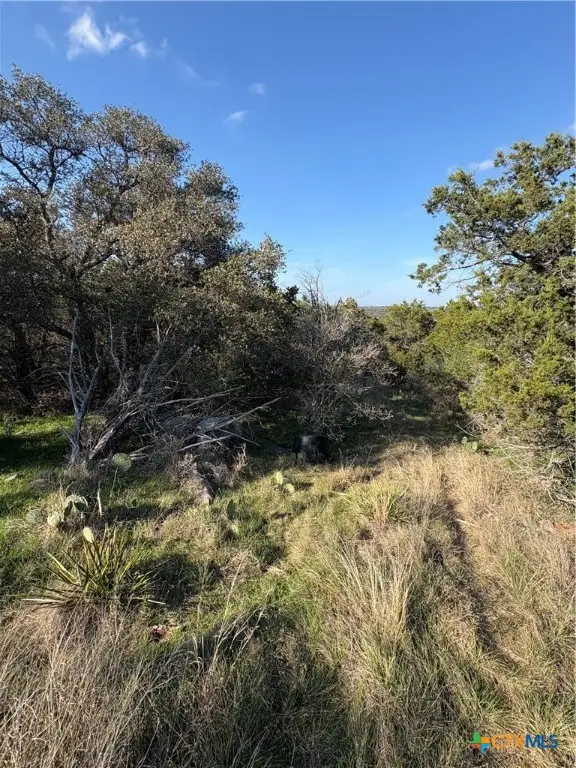 223 Lakeview Drive, Burnet, TX 78611 - Image #2