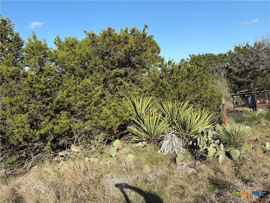 224 Lakeview Drive, Burnet, TX 78611 - Image #2