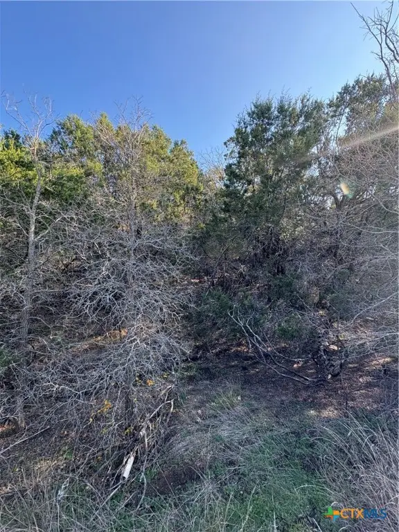 0 Deer Springs Drive, Burnet, TX 78611 - Image #2