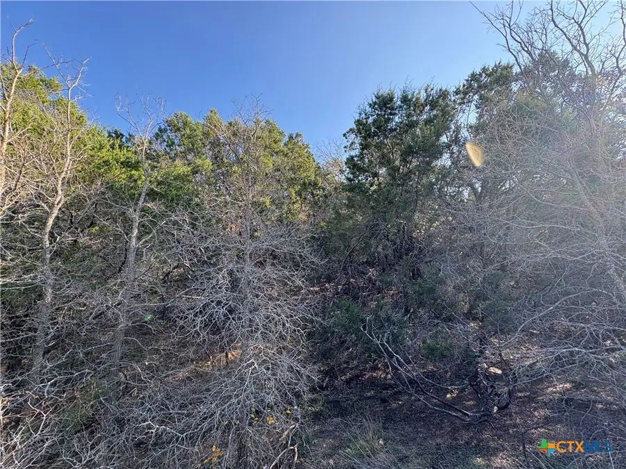 0 Deer Springs Drive, Burnet, TX 78611 - Image #3