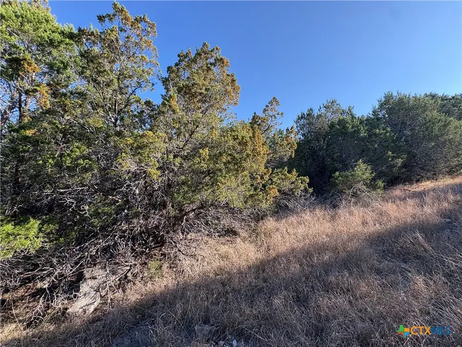 0 Deer Springs Drive, Burnet, TX 78611 - Image #3